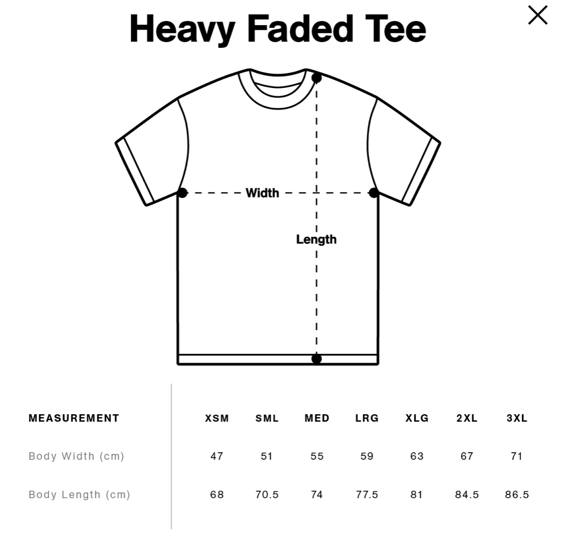 Passion+Purpose - HEAVY FADED TEE